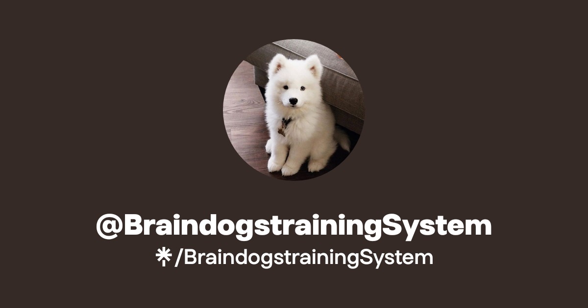 @BraindogstrainingSystem | Linktree