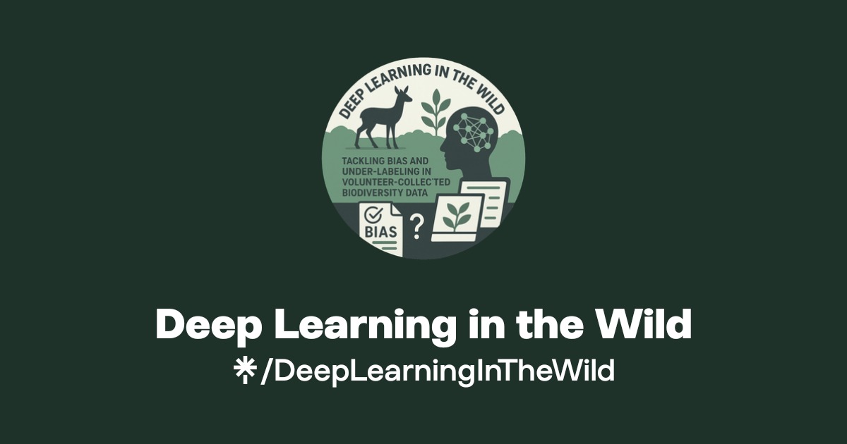 Deep Learning in the Wild | Linktree