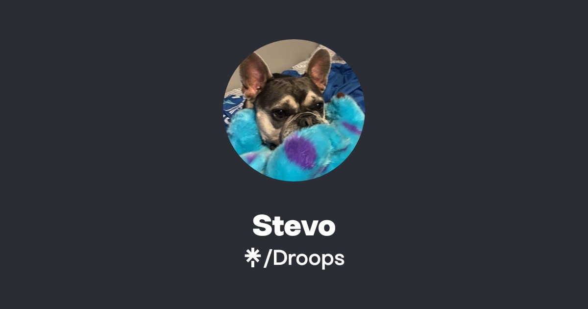 Stevo | Instagram, TikTok, Twitch | Linktree