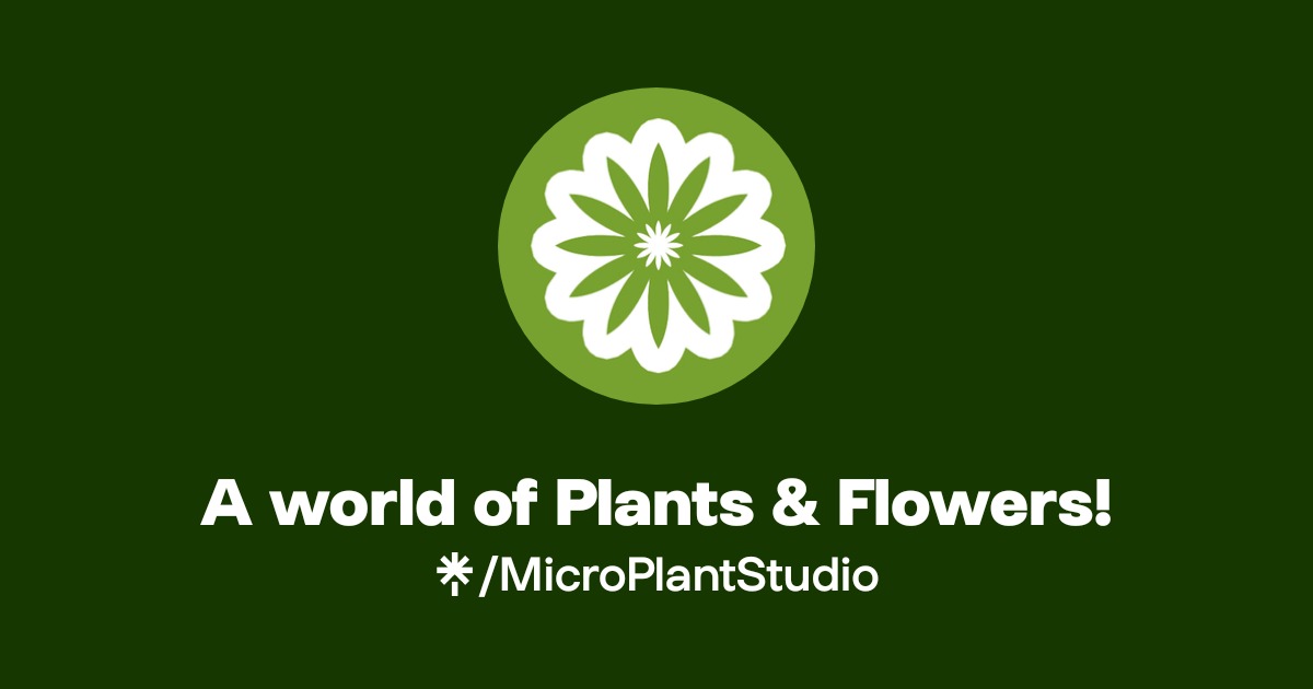 A world of Plants & Flowers! | Linktree