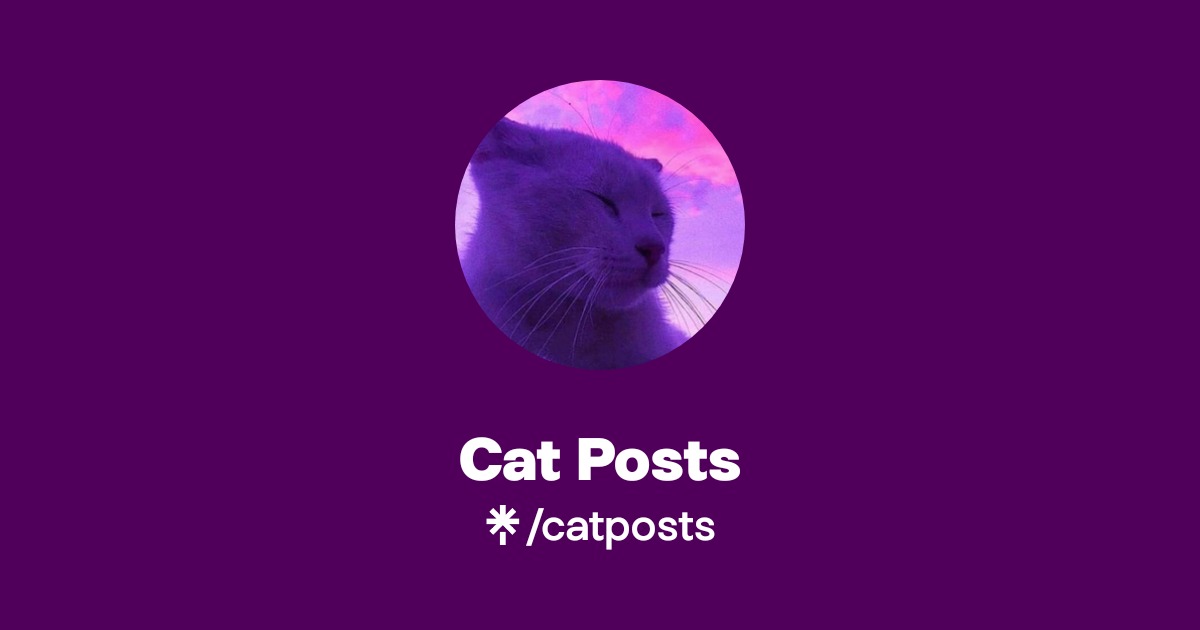 Cat Posts | Twitter, TikTok | Linktree