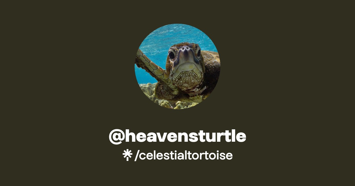 @heavensturtle | Linktree