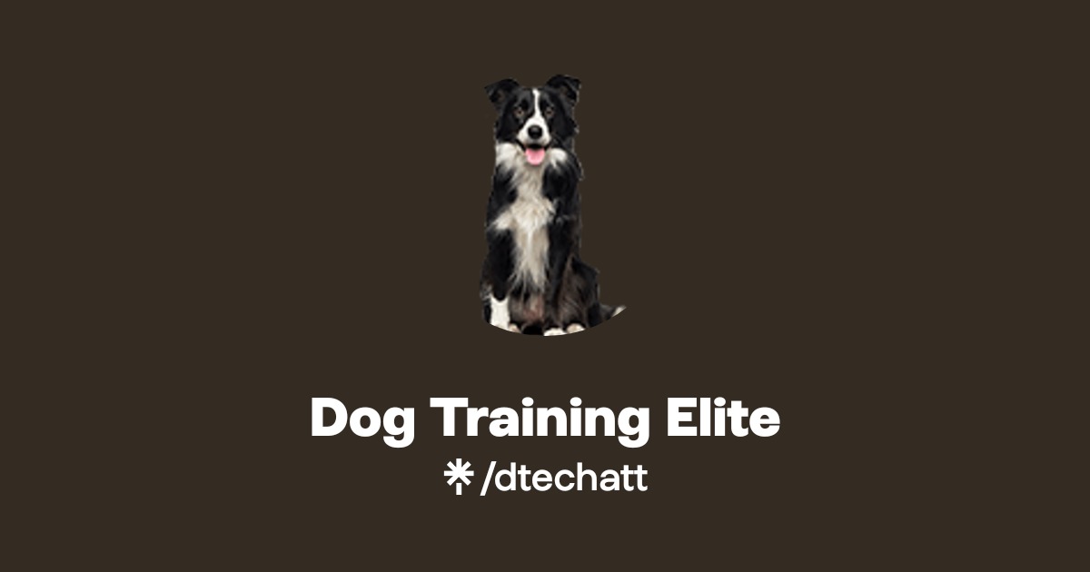 Dog Training Elite | Linktree