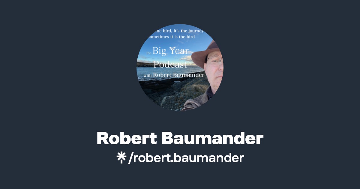robert baumander s Link In Bio Linktree robert baumander s link in bio linktree